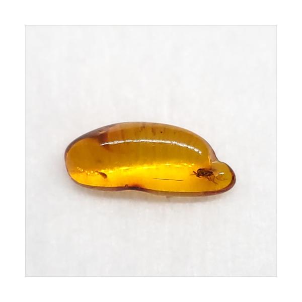 美品 虫入り琥珀 琥珀 化石 本物 バルト海産 ケース付き 15.35mm