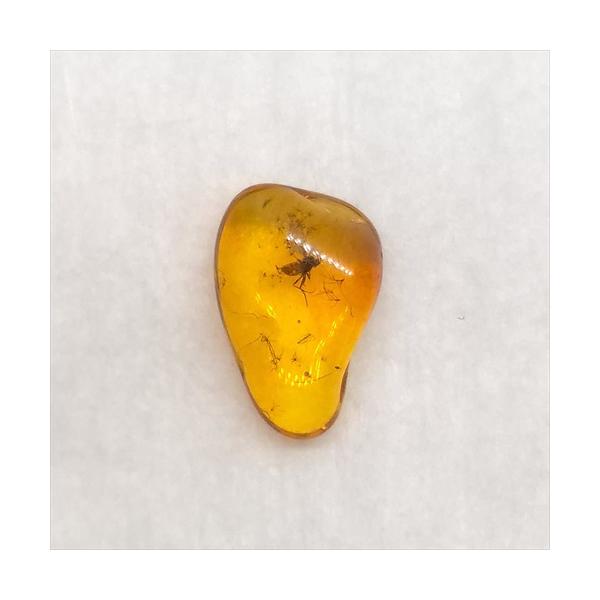 バルト海産　虫入り琥珀　12個セット　全て虫入り　本物保証　良いコンディション バルト海産 虫入り琥珀 12個セット 全て虫入り 本物保証 良い