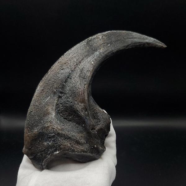 アロサウルス 爪 化石 レプリカ 約177.88mm プレゼント ギフト arr18
