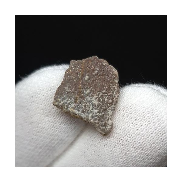 恐竜 卵 化石 本物 フランス産 13.45mm ケース付き プレゼント ギフト