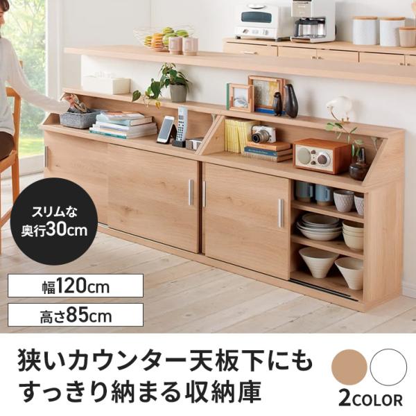 dinos-kagu_1363700336