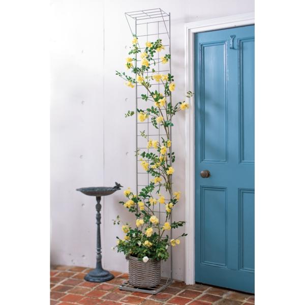 ガーデニング　トレリスプランターフラワースタンド3点セット 楽天市場】トレリス プランター台付きの通販