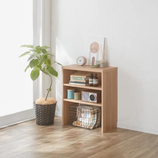 dinos_1236408038_2_d_20260114144252