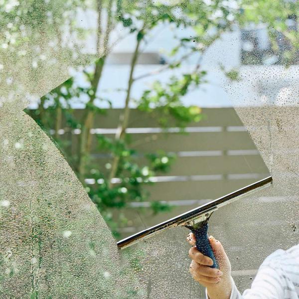 スクイジープロ ハンドルセット 掃除 お手入れ用品 手入れ リフォーム用品 681304 ディノス