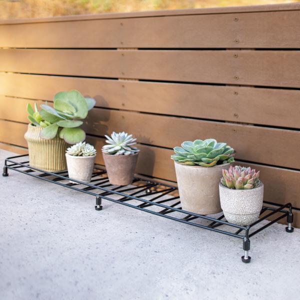 傾斜対応スリムロング鉢台 1台 フラワースタンド プランタースタンド 花台 ディノス dinos 人気 おしゃれプランターを直置きすると斜めになるゆるやかな傾斜地でも、園芸を楽しむことができる優れもの。多肉植物の鉢を並べてお気に入りのコーナ...