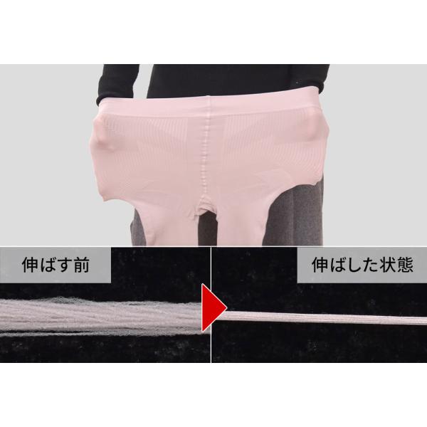 dinos_1352800332_5_d_20251028094853