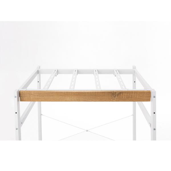 dinos_1904001164_5_d_20260309174924