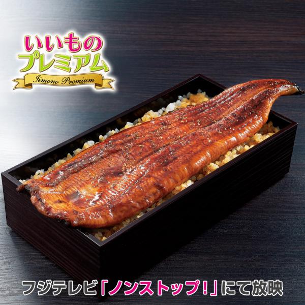 うなぎ 国産 特大 3L 鰻 蒲焼 蒲焼き うなぎの蒲焼 愛知県 愛知産 レンチン レンジ調理 箱 入り 魚 愛知・三河産 特選うなぎ 3Lサイズ×3尾セット AR2355