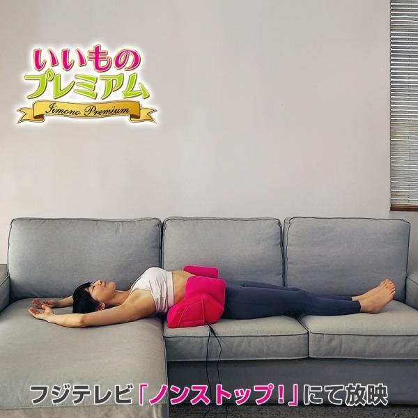 dinos シェイプ スリミング器具 ストレッチ マシン 美姿勢 猫背 dinos シェイプ スリミング器具 ストレッチ マシン 美姿勢 猫背