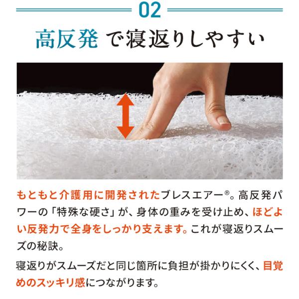 dinos_ar2656_5_d_20260309200621