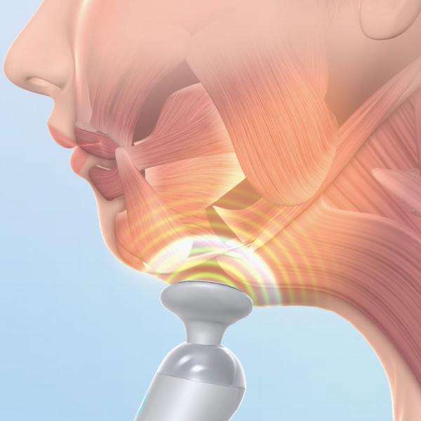 dinos_ar2773_3_d_20260318115124