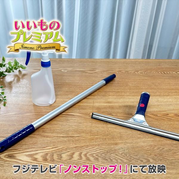 大掃除 窓掃除 年末 スクイジー プロ 簡単 ラク 掃除アイテム 掃除グッズ 窓の汚れ 泥 花粉 黄砂 排気ガス 手垢 ディノス スクイジープロ 特別セット AR2815