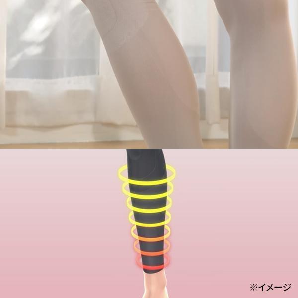 dinos_ar2821_5_d_20260311163311