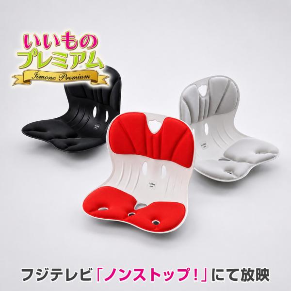腰ラクサポート カーブルチェアワイド 健康 健康雑貨 AR2937 ディノス