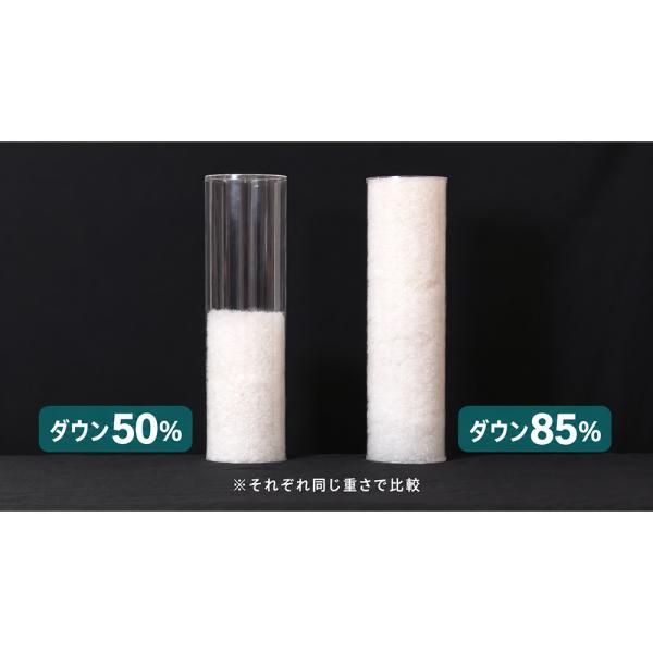 4�����T�C�N���H�ъ|���z�c �V���O�� �Q�� �H�ъ|���z�c AR3000 �f�B�m�X ���i�摜4