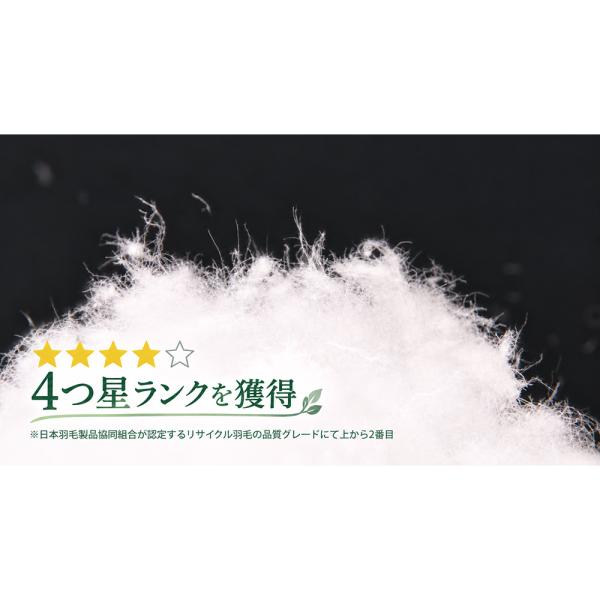 4�����T�C�N���H�ъ|���z�c �V���O�� �Q�� �H�ъ|���z�c AR3000 �f�B�m�X ���i�摜5