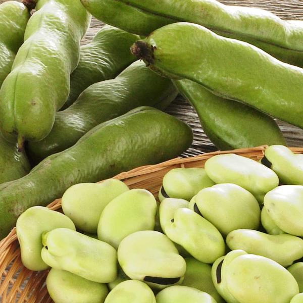 鹿児島産 そら豆 2kg 【3月中旬-4月上旬頃お届け】 野菜 果物  爆買 ディノス dinos 人気 おしゃれ■そら豆の一大産地・鹿児島県からお届けそら豆の若い実は、元気良く“空をみあげている”ところから、「空豆」と書くようになったと言...