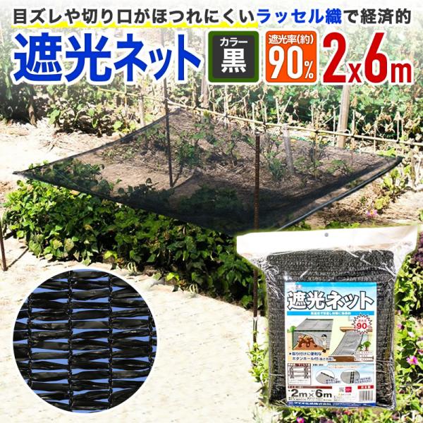 レア hellos Beetle BLACK オクタタープ 遮光 国内購入品 安く 買う