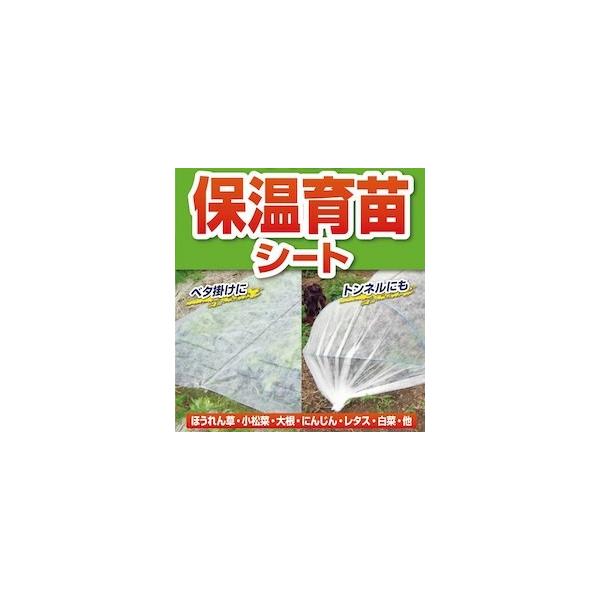 ׂ|EglpsDz  sDz ۉcV[g 1.8m×20m ݒuɕ֗ȃZ^[C ƒ؉[ y_CIuhz