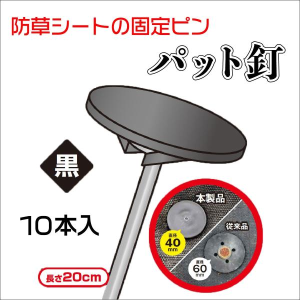  hV[g ݒup pbgB  20cm Jo[t B ڃLC 10Zbg y_CIuhz