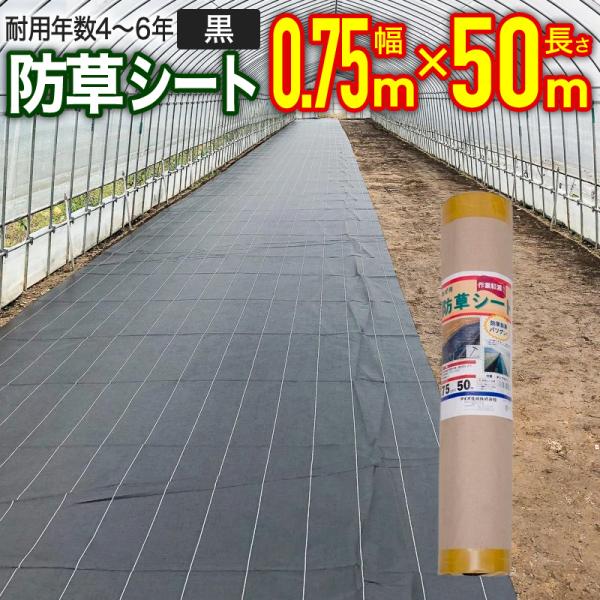 ダイオ 公式 畔防草シート 幅0.75m×長さ50 【ダイオブランド