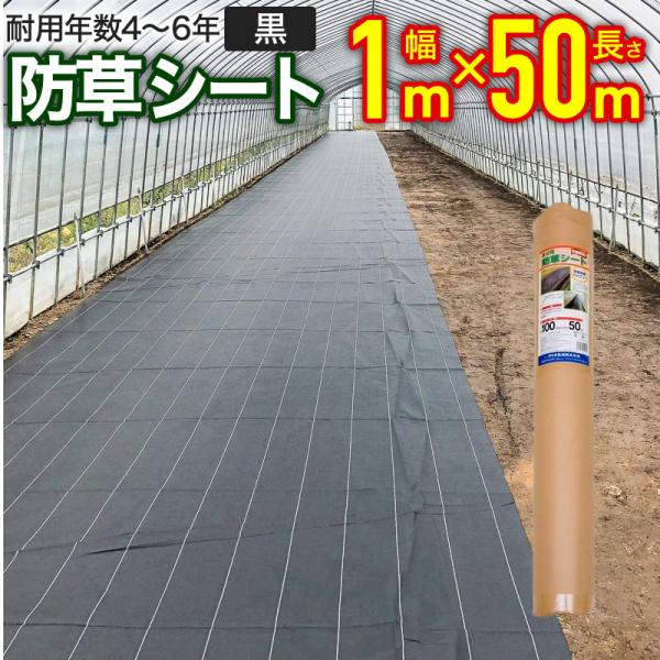 ダイオ 公式 畔防草シート 幅1m×長さ50m 【ダイオブランド