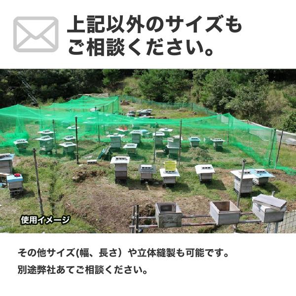 ミツバチ出品 Hani²（ハニハニ）監修 ミツバチ | カプセルコレクション | 株式会社