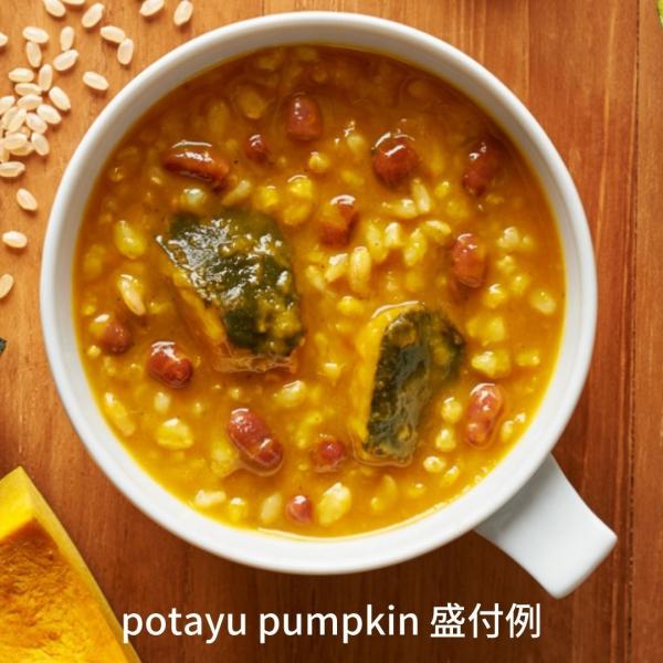 potayu pumpkin 5 Mtg v[g