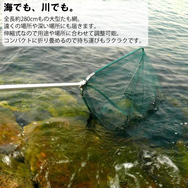 大型たも網 全長280cm 網幅75cm たも網 伸縮 折りたたみ コンパクト 持ち運び 大型 たも 釣り アウトドア 漁業 海 川 河 磯 船舶 船釣り タモ タモ網 網 Buyee Buyee Japanese Proxy Service Buy From Japan Bot Online