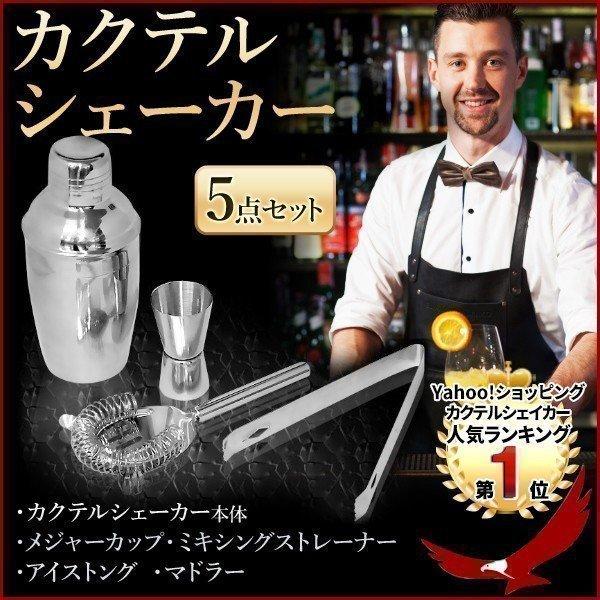 シェーカー カクテル 5点セット シェイカー ボトル シェーカーセット バーテンダー キット 道具 宅飲み 家飲み グッズ ギフト プレゼント 人気 :000000076136:Earth Wing 通販 カクテルシェイカー5点セット