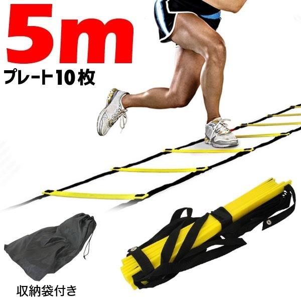 トレーニング ラダー トレーニングラダー 5m プレート10枚 トレーニング器具 練習器具 収納袋付き フィットネス ダイエット スポーツ 練習 サッカー 1位 Copy Earth Wing 通販 Yahoo ショッピング