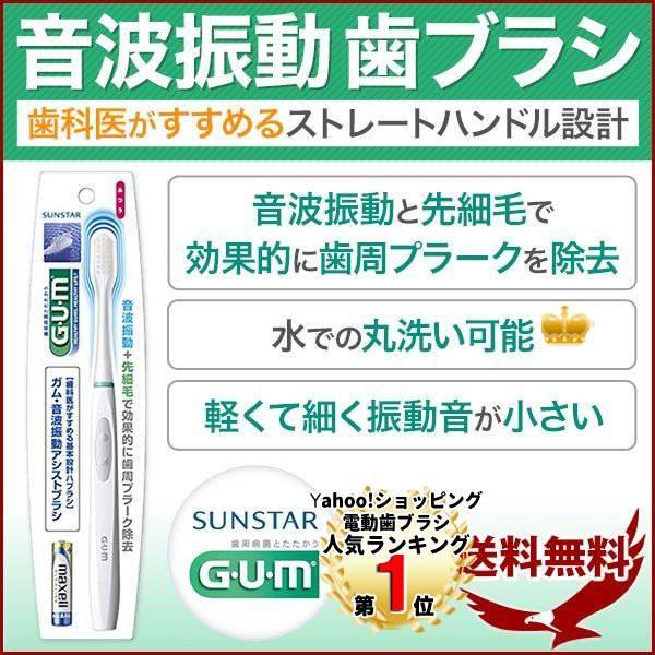 電動歯ブラシ ガム スティック音波振動歯ブラシ 電動 歯ブラシ Gs 01 歯ぶらし 本体 持ち運び コンパクト 安い 振動 持ち歩き 携帯 ふつう 1位 Earth Wing 通販 Paypayモール