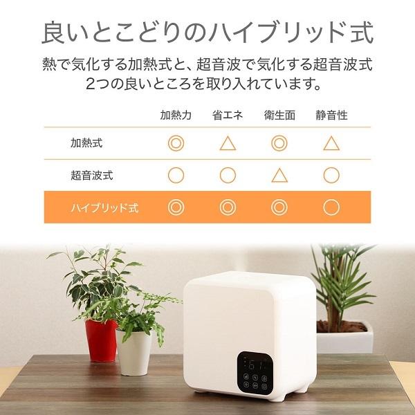 discount-spirits2_000000132654_2