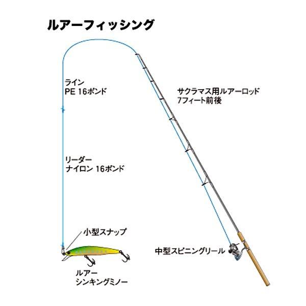 スピンミノー 10g 仕掛け 船釣り 釣具 スポーツ アウトドア 釣り道具 ルアー トラウト ミノー スプーン 釣り 渓流 海 湖 フック つり シーバス イトウ Zaiyin Buyee Buyee 日本の通販商品 オークションの代理入札 代理購入