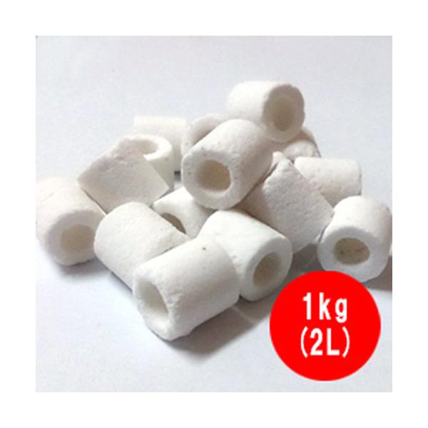 高性能 ろ材 バイオグラス リング 業務用 1kg (2L)