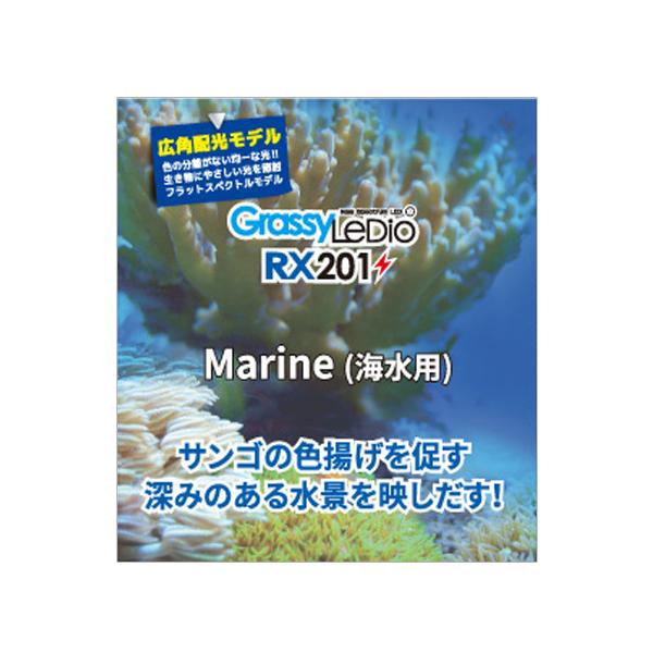 ボルクスジャパン ペット ペットグッズ Favofavoitems