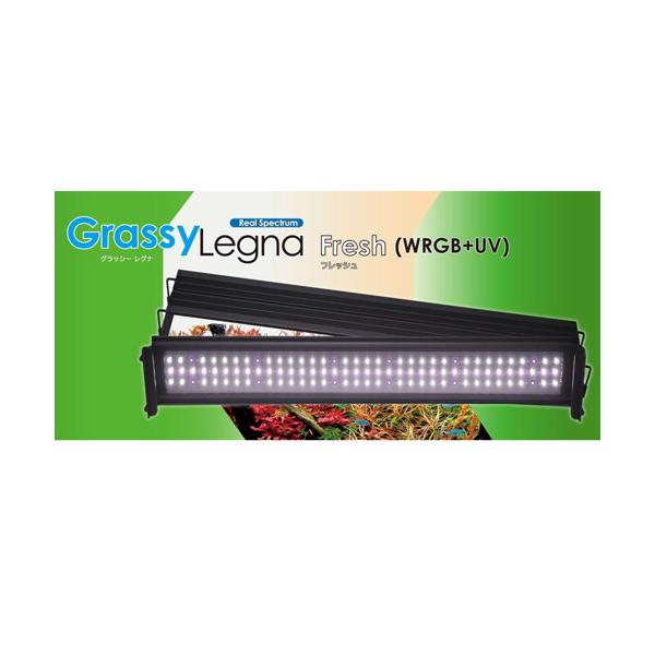 hidezaemonボルクスジャパン　GrassyLegna 60 hidezaemonボルクスジャパン GrassyLegna 60 volxjapan（ボルクス