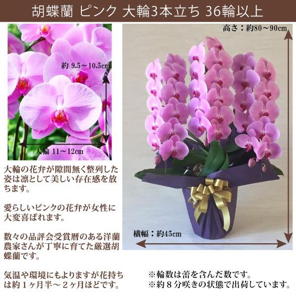 �y100���ۏ؁z�Ӓ��� ���j�� ��� �s���N 3�{����36�ֈȏ� �J�Əj�� �J�X�j�� �V�z�j�� �����j�� �h�V�̓��ɂ� ���i�摜1