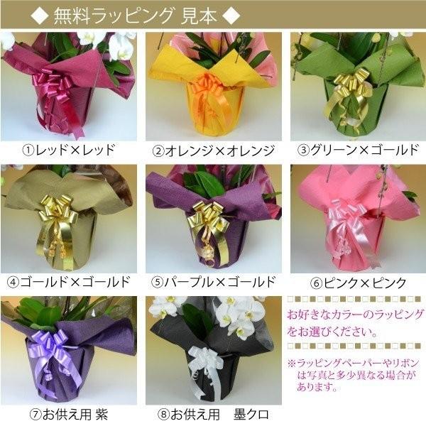 �y100���ۏ؁z�Ӓ��� ���j�� ��� 3�{����42�ֈȏ� �� �s���N �J�Əj�� �J�X�j�� �V�z�j�� �����j�� ������ ���T �Z�����j�[ �j��� ���i�摜2