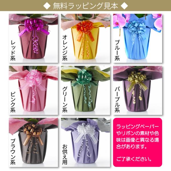 �y100���ۏ؁z���֌Ӓ���(�~�f�B)5�{����35�ֈȏ� �s���N ���j�� �a���� ��̓� �L�O�� �J�Əj�� �J�X�j�� �V�z�j�� �����j�� �M�t�g ���i�摜2
