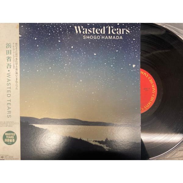 浜田省吾 / Wasted Tears 国内盤 (帯汚れ) : ディスクユニオン昭和歌謡