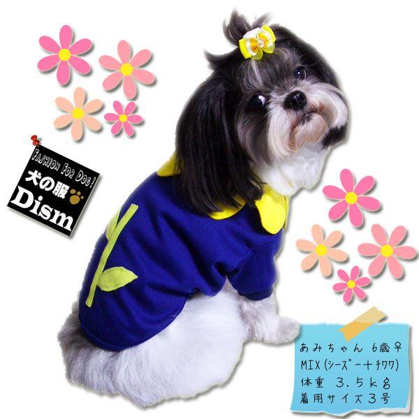  ԕi^E^pj(̕Q_wŃ[֑) hbOEFA RXv