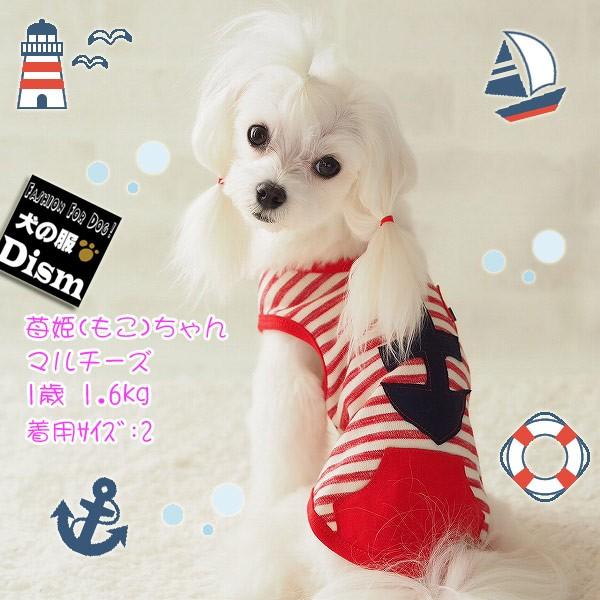  }i`{[_[^Ngbv bh ( ^p ) ` gCv[h ~j`A_bNX