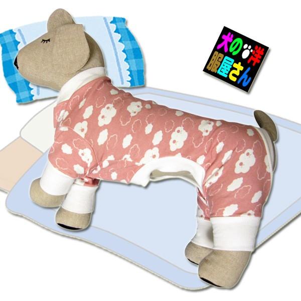  _pW} ӂsNi^E^pj̕Q_wŃ[֑ ` gCv[h ~j`A_bNX Č R[M[ pO