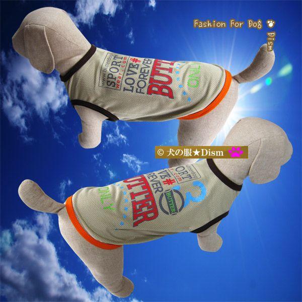  bVX|[cEFAE^Ngbvi^j̕Q_wŃ[֑