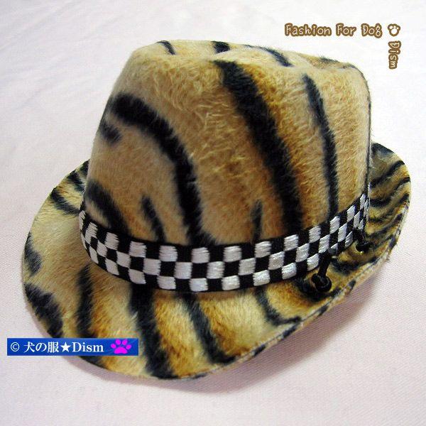 pXqijAj}Ep^[1 pANZT[