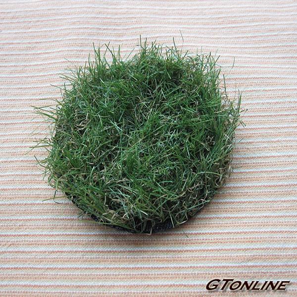 AlHŁiŁj~` ی` JeEe̊Wp a110mmi11cmj   JeEẽt^B WBŐ {