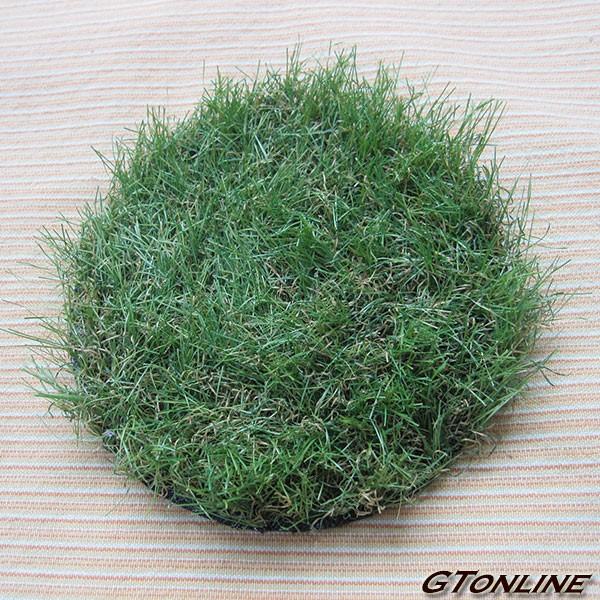 ガーデニング用品 芝生 高麗芝の人気商品 通販 価格比較 価格 Com