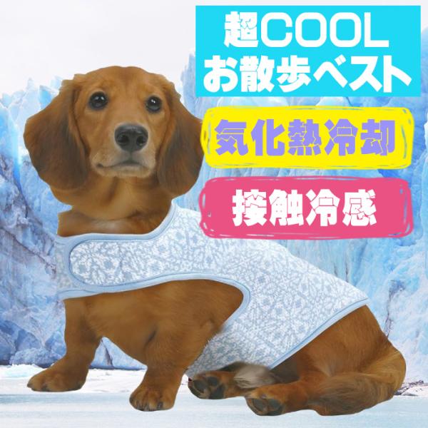 犬服 マルカン 超COOL お散歩ベスト S ( 小型犬用 ) 冷感 夏服 チワワ
