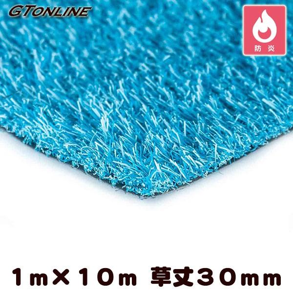 J[lH N[o[^[t J[^Cv u[ 1m×10m 30mmivdlEhKj